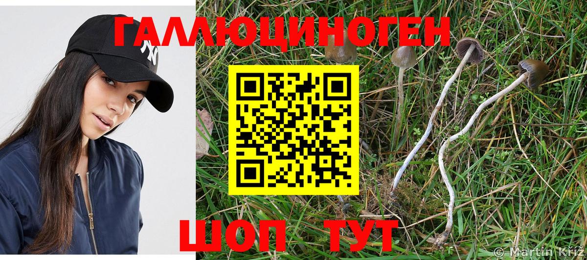 Гашиш  Марихуана  Мефедрон   Каспийск  Вход с VPN  КОКАИН 