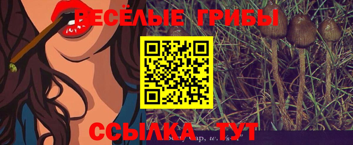 Псилоцибиновые грибы Magic Shrooms Каспийск