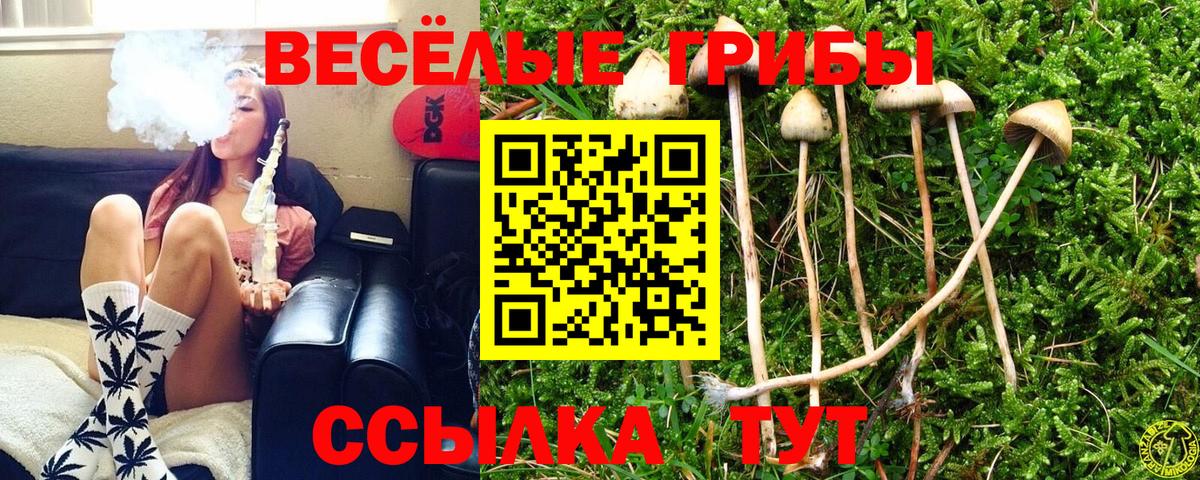 Каспийск  даркнет сайт  Вход с VPN  Псилоцибиновые грибы мухоморы  Псилоцибиновые грибы GOLDEN TEACHER 